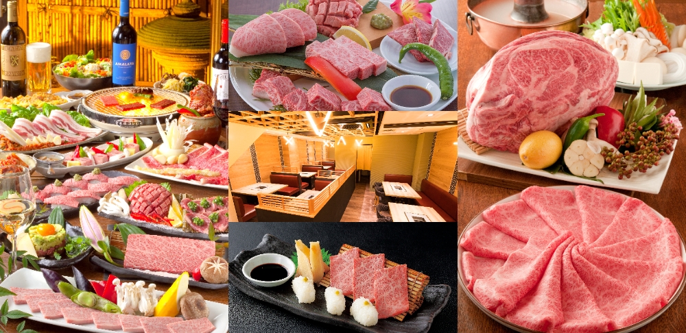 ベンジャミンランチ①